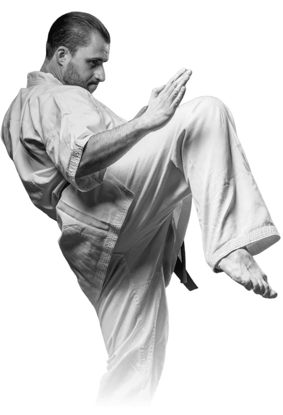 Martial artist performing a kick.